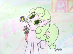 Size: 4032x3016 | Tagged: safe, artist:jakusi, ponerpics import, daisy, flower wishes, lily, lily valley, earth pony, pony, basket, female, flower, flower basket, head tilt, image, jpeg, looking at you, mare, mouth hold, signature, solo, traditional art, tulip