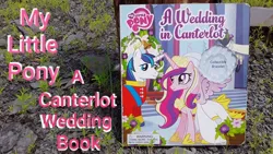 Size: 1280x720 | Tagged: safe, derpibooru import, princess cadance, shining armor, alicorn, pony, unicorn, a canterlot wedding, g4, book, duo, duo male and female, female, horn, image, irl, jpeg, male, merchandise, photo, text, youtube thumbnail