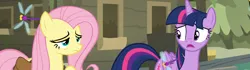 Size: 3854x1080 | Tagged: safe, composite screencap, derpibooru import, edit, edited screencap, screencap, fluttershy, twilight sparkle, twilight sparkle (alicorn), alicorn, dragonfly, insect, pegasus, pony, a health of information, g4, bag, duo, duo female, female, hayseed swamp, hut, image, png, saddle bag