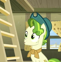 Size: 928x949 | Tagged: safe, derpibooru import, edit, edited screencap, screencap, pistachio, earth pony, pony, g4, green pony, hat, image, jpeg, male, my little pony best gift ever, open mouth, solo, solo focus, solo male, teenager, wide eyes