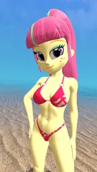 Size: 1080x1920 | Tagged: suggestive, artist:oatmeal!, derpibooru import, sour sweet, human, equestria girls, g4, 3d, beach, belly, belly button, bikini, breasts, clothes, gmod, hand on hip, image, looking at you, ocean, png, sexy, simple background, solo, spread legs, spreading, standing, swimsuit, water