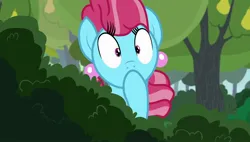 Size: 1920x1088 | Tagged: safe, derpibooru import, screencap, cup cake, earth pony, g4, season 7, the perfect pear, blue coat, blue fur, bush, chiffon swirl, colored pupils, eyelashes, female, hoof in mouth, image, jpeg, pink hair, pink mane, solo, watching, wide eyes
