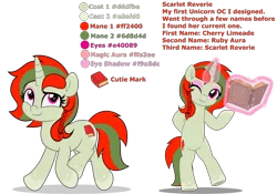 Size: 10000x6982 | Tagged: safe, artist:jhayarr23, derpibooru import, oc, oc:scarlet reverie, unofficial characters only, unicorn, fallout equestria, book, braid, commissioner:solar aura, cutie mark, eyeshadow, horn, image, magic, magic aura, makeup, one eye closed, one eye open, png, reference sheet, simple background, solo, spots, transparent background, unicorn oc, wink