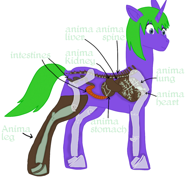 Size: 1400x1300 | Tagged: safe, artist:xada, derpibooru import, oc, pony, unicorn, amputee, anatomy, anatomy chart, arrow, blue eyes, bone, chart, eyelashes, green mane, green tail, heart (organ), horn, image, intestines, liver, lungs, missing cutie mark, organs, png, prosthetic leg, prosthetic limb, prosthetics, purple coat, rimworld, simple background, solo, spine, tail, text, transparent background, unicorn oc, x-ray