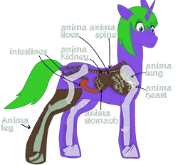 Size: 1400x1300 | Tagged: safe, artist:xada, derpibooru import, oc, pony, unicorn, amputee, anatomy, anatomy chart, arrow, blue eyes, bone, chart, eyelashes, green mane, green tail, heart (organ), horn, image, intestines, liver, lungs, missing cutie mark, organs, png, prosthetic leg, prosthetic limb, prosthetics, purple coat, rimworld, simple background, solo, spine, tail, text, transparent background, unicorn oc, x-ray