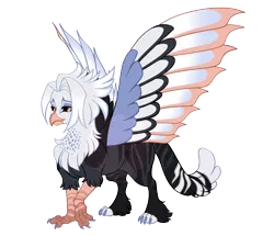 Size: 4300x3700 | Tagged: safe, artist:gigason, derpibooru import, oc, oc:sable, unofficial characters only, gryphon, beak, black sclera, brown eyes, brown pupils, cat tail, chest fluff, chubby, colored claws, colored eyebrows, colored legs, colored paws, colored pupils, colored sclera, colored tail, colored wings, commission, eye clipping through hair, eye markings, facial markings, frown, gray coat, griffon oc, high res, hybrid wings, image, leg fluff, leg stripes, lidded eyes, looking back, magical lesbian spawn, multicolored tail, multicolored wings, nonbinary, nonbinary oc, offspring, parents:oc x oc, png, raised claw, simple background, solo, spots, spread wings, striped, striped tail, stripes, tail, transparent background, two toned hair, watermark, wings, yellow eyes