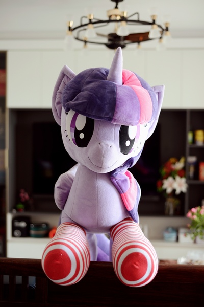 Size: 4912x7360 | Tagged: safe, artist:小马工坊, derpibooru import, twilight sparkle, twilight sparkle (alicorn), alicorn, pony, g4, clothes, image, irl, jpeg, looking at you, photo, plushie, socks, solo, stockings, striped socks, thigh highs