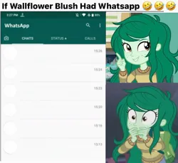 Size: 1170x1071 | Tagged: safe, derpibooru import, edit, edited screencap, screencap, wallflower blush, human, equestria girls, g4, clothes, emoji, equestria girls specials, female, freckles, hand over mouth, image, jpeg, meme, my little pony equestria girls: better together, my little pony equestria girls: forgotten friendship, shitposting, smiling, sweater, text, whatsapp