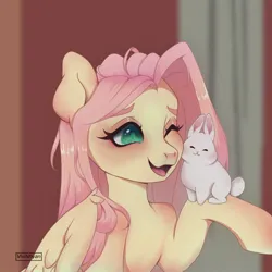 Size: 1000x1000 | Tagged: safe, artist:vivinhyan, derpibooru import, angel bunny, fluttershy, pegasus, pony, rabbit, animal, bust, duo, female, image, jpeg, mare, nuzzling, one eye closed, open mouth, sitting, sitting on, sitting on person, sitting on pony, smiling