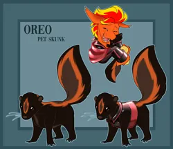 Size: 3121x2700 | Tagged: safe, artist:parrpitched, derpibooru import, oc, oc:fireheart(fire), oc:oreo the skunk, unofficial characters only, bat pony, skunk, alternate universe, bat pony oc, bat wings, clothes, cute, fireheart76's latex suit design, image, latex, pet, png, prisoners of the moon, reference sheet, solo, vest, wings