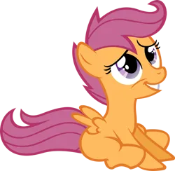 Size: 900x880 | Tagged: safe, artist:hombre0, derpibooru import, scootaloo, pegasus, pony, g4, female, filly, foal, image, png, simple background, sitting, solo, transparent background, vector