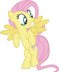 Size: 900x1095 | Tagged: safe, artist:hombre0, derpibooru import, fluttershy, pegasus, pony, g4, image, png, simple background, solo, transparent background, vector