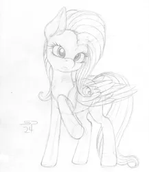 Size: 2000x2300 | Tagged: safe, artist:styroponyworks, derpibooru import, fluttershy, pony, image, jpeg, sketch, solo