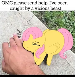 Size: 563x579 | Tagged: safe, artist:custompizza, derpibooru import, fluttershy, angry, biting, finger bite, hand, image, meme, meme template, png