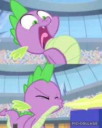 Size: 1440x1800 | Tagged: safe, derpibooru import, edit, edited screencap, screencap, spike, dragon, equestria games (episode), g4, comic, fire, fire breath, image, jpeg, puffed chest, screencap comic, solo, torch, watermark