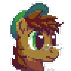 Size: 384x384 | Tagged: safe, artist:elwakaz, derpibooru import, pony, digital art, head, icon, image, pixel art, png, simple background, solo, transparent background