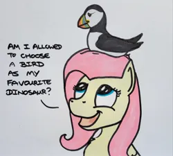 Size: 2048x1843 | Tagged: safe, artist:hoofclid, derpibooru import, fluttershy, bird, pegasus, pony, puffin, g4, bust, cute, dialogue, female, image, jpeg, looking up, mare, marker drawing, open mouth, open smile, shyabetes, smiling, solo, traditional art