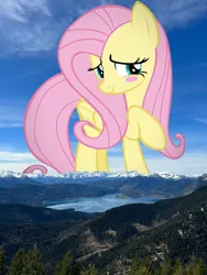 Size: 1440x1920 | Tagged: safe, artist:andoanimalia, derpibooru import, edit, editor:jaredking779, fluttershy, pegasus, pony, g4, blushing, cloud, cute, female, folded wings, giant pony, giantess, giantshy, highrise ponies, image, irl, jpeg, lake, looking at you, macro, mare, mountain, mountain range, photo, ponies in real life, raised hoof, river, shyabetes, smiling, solo, story included, stream, valley, water, wings