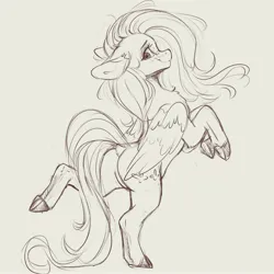 Size: 4000x4000 | Tagged: safe, artist:miokomata, derpibooru import, fluttershy, pegasus, pony, bipedal, butt, cute, floppy ears, flutterbutt, freckles, freckleshy, frog (hoof), grayscale, image, jpeg, looking at you, looking back, looking back at you, monochrome, plot, shyabetes, simple background, sketch, smiling, solo, standing, standing on one leg, underhoof, white background