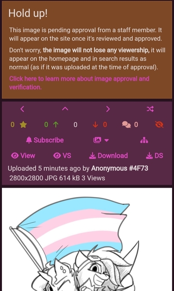 Size: 720x1200 | Tagged: safe, artist:captainhoers, ponerpics import, ponybooru, image, jpeg, meta, text, trans pride flag