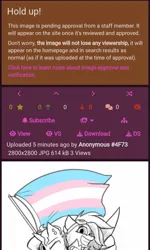 Size: 720x1200 | Tagged: safe, artist:captainhoers, ponerpics import, ponybooru, image, jpeg, meta, text, trans pride flag