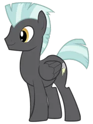 Size: 600x800 | Tagged: safe, artist:godoflight, derpibooru import, thunderlane, pegasus, pony, g4, image, male, png, simple background, solo, stallion, transparent background, vector