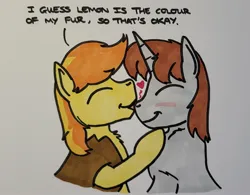 Size: 2007x1564 | Tagged: safe, artist:hoofclid, derpibooru import, braeburn, oc, oc:hoofclid, earth pony, pony, unicorn, g4, canon x oc, duo, duo male, eyes closed, gay, heart, horn, image, jpeg, kissing, male, nose kiss, shipping