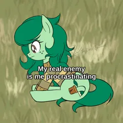 Size: 1920x1920 | Tagged: safe, artist:theratedrshimmer, derpibooru import, wallflower blush, ponified, earth pony, pony, cute, equestria girls ponified, female, flowerbetes, image, jpeg, meme, ponified animal photo, ponified meme, procrastination, sitting, solo