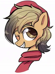 Size: 768x1024 | Tagged: safe, artist:jully-park, derpibooru import, oc, oc:coffee coat, unofficial characters only, pegasus, pony, beanie, bust, clothes, grin, hat, image, jpeg, portrait, scarf, smiling, solo