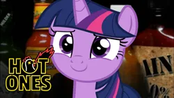 Size: 1000x568 | Tagged: artist needed, source needed, safe, derpibooru import, twilight sparkle, hot ones, hot sauce, hot wings, image, png, smiling, solo