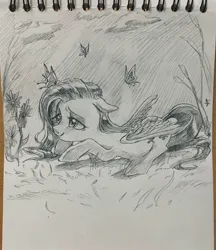 Size: 1768x2048 | Tagged: safe, artist:g5p7r, derpibooru import, fluttershy, butterfly, insect, pegasus, pony, g4, black and white, female, grayscale, image, jpeg, lying down, mare, monochrome, prone, sketch, solo, traditional art