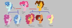 Size: 1632x628 | Tagged: safe, artist:trollertnt, derpibooru import, cheese sandwich, li'l cheese, party favor, pinkie pie, oc, oc:blueberry pie, oc:jam sandwich, oc:raspberry jam, oc:strawberry pie, earth pony, pony, unicorn, the last problem, cheesepie, family tree, female, gray background, horn, image, male, mare, offspring, parent:cheese sandwich, parent:party favor, parent:pinkie pie, parents:cheesepie, parents:partypie, png, polyamory, ship:partypie, shipping, simple background, stallion, straight