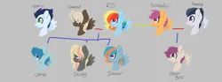 Size: 1744x652 | Tagged: safe, artist:trollertnt, derpibooru import, dumbbell, rainbow dash, rumble, scootaloo, soarin', oc, oc:comet, oc:dasher, oc:derby, oc:sour bell, pegasus, pony, dumbdash, family tree, female, gray background, image, male, mare, next generation, offspring, older, older rumble, older scootaloo, parent:dumbbell, parent:rainbow dash, parent:rumble, parent:scootaloo, parent:soarin', parents:dumbdash, parents:rumbloo, parents:soarindash, png, rumbloo, shipping, simple background, soarindash, stallion, straight