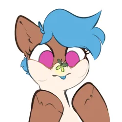 Size: 1996x2000 | Tagged: safe, artist:pukifurs, derpibooru import, oc, oc:lissy fluffball, unofficial characters only, firefly (insect), insect, pony, g4, :p, chest fluff, cross-eyed, cute, cute face, female, high res, image, mare, png, solo, tongue out