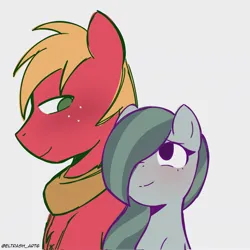 Size: 2047x2048 | Tagged: safe, artist:eltrash_art6, derpibooru import, big macintosh, marble pie, earth pony, pony, g4, blushing, cute, duo, duo male and female, female, freckles, image, jpeg, looking at each other, looking at someone, male, marblebetes, marblemac, mare, shipping, simple background, stallion, straight, white background