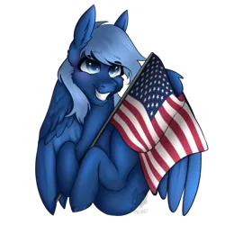 Size: 2000x2000 | Tagged: safe, artist:rainland, derpibooru import, oc, oc:blueshadow, unofficial characters only, pegasus, pony, american flag, commission, flag, image, png, solo