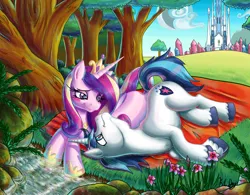 Size: 4770x3715 | Tagged: safe, artist:kcday, derpibooru import, princess cadance, shining armor, alicorn, pony, unicorn, g4, absurd resolution, blanket, blush sticker, blushing, crown, crystal empire, cute, cutedance, duo, duo male and female, female, flower, folded wings, forest, grass, hoof shoes, horn, image, jewelry, jpeg, looking at each other, looking at someone, lying down, male, mare, nature, outdoors, princess shoes, prone, regalia, river, scenery, shining adorable, shiningcadance, ship:shiningcadance, shipping, side, smiling, smiling at each other, stallion, straight, stream, tail, tree, unshorn fetlocks, water, wings