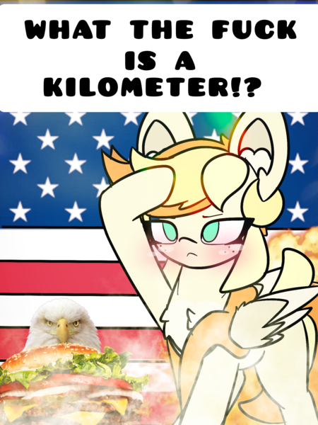 Size: 4096x5461 | Tagged: safe, artist:sodapop sprays, derpibooru import, oc, oc:sodapop sprays, unofficial characters only, bird, eagle, pegasus, pony, 4th of july, american flag, blushing, burger, flag, food, holiday, image, jingoism, meme, png, united states, wtf is a kilometer