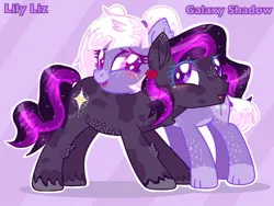 Size: 1146x863 | Tagged: safe, artist:chalaea, oc, oc:galaxy shadow, oc:lily liz, blushing, ethereal hair, ethereal mane, ethereal tail, freckles, image, jpeg, nuzzling, paws, pigtails, simple background, unshorn fetlocks