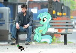 Size: 630x435 | Tagged: safe, derpibooru import, edit, lyra heartstrings, oc, oc:anon bird, bird, human, pony, g4, /bale/, artifact, bench, cup, human behavior, image, irl, irl human, keanu reeves, meme, necktie, photo, png, ponies in real life, sad keanu, sitting, sitting lyra, vector