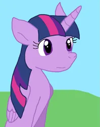 Size: 651x827 | Tagged: safe, artist:cmara, derpibooru import, twilight sparkle, twilight sparkle (alicorn), alicorn, g4, female, image, png, solo