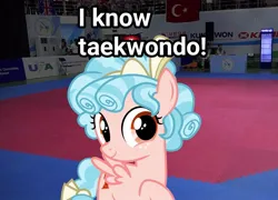 Size: 999x720 | Tagged: safe, derpibooru import, edit, edited screencap, screencap, cozy glow, pony, image, irl, jpeg, photo, ponies in real life, solo, taekwondo, turkish flag