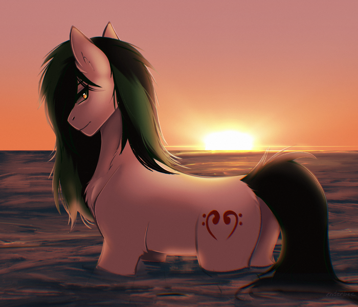 Size: 2800x2400 | Tagged: safe, artist:enderbee, derpibooru import, oc, oc:trance sequence, unofficial characters only, earth pony, pony, image, looking back, male, ocean, png, solo, stallion, sunset, water