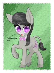 Size: 2000x2700 | Tagged: safe, artist:scandianon, derpibooru import, octavia melody, donkey, pony, donkified, female, happy, image, jpeg, looking at you, mare, open mouth, open smile, pun, smiling, talking, talking to viewer, tall, vulgar