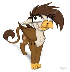 Size: 1214x1239 | Tagged: safe, artist:fenixdust, derpibooru import, oc, oc:darien platecrête, gryphon, crying, eared griffon, eye clipping through hair, griffon oc, image, jpeg, simple background, white background