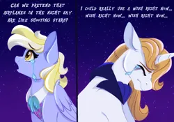 Size: 2048x1430 | Tagged: safe, artist:carouselunique, derpibooru import, derpy hooves, prince blueblood, pegasus, pony, unicorn, g4, airplanes (song), crying, derpblood, duo, female, horn, image, jpeg, male, mare, night, night sky, shipping, side stars au, sky, stallion, straight