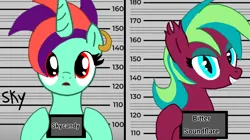 Size: 1478x830 | Tagged: safe, artist:skycandy, derpibooru import, oc, oc:bitter soundflare, oc:skycandy, alicorn, bat pony, barbie mugshot meme, image, meme, mugshot, png