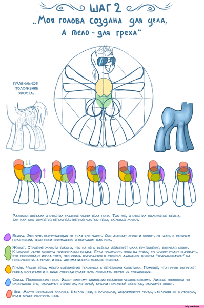 Size: 1000x1509 | Tagged: safe, artist:et_ya, artist:eto ya, derpibooru import, earth pony, pony, anatomy, comic, cyrillic, female, grin, image, leonardo da vinci, male, mare, png, russian, smiling, solo, stallion, sunglasses, tutorial, vitruvian man