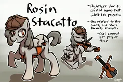 Size: 3000x2000 | Tagged: safe, artist:doggoisadummy, derpibooru import, oc, oc:rosin stacatto, unofficial characters only, pegasus, pony, bow (instrument), cap, female, hat, image, jpeg, mare, musical instrument, playing instrument, reference sheet, solo, violin, violin bow