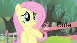 Size: 800x450 | Tagged: safe, derpibooru import, edit, edited screencap, screencap, fluttershy, pegasus, pony, filli vanilli, g4, season 4, cute, female, image, jpeg, mare, shyabetes, solo, text, tree